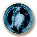 Taurus